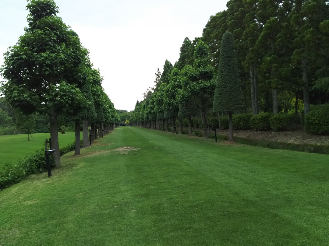 Wakunaga Manji Memorial Garden景点图片