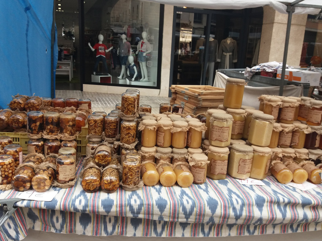 Son Macia旅游景点-Ca Na Pereta