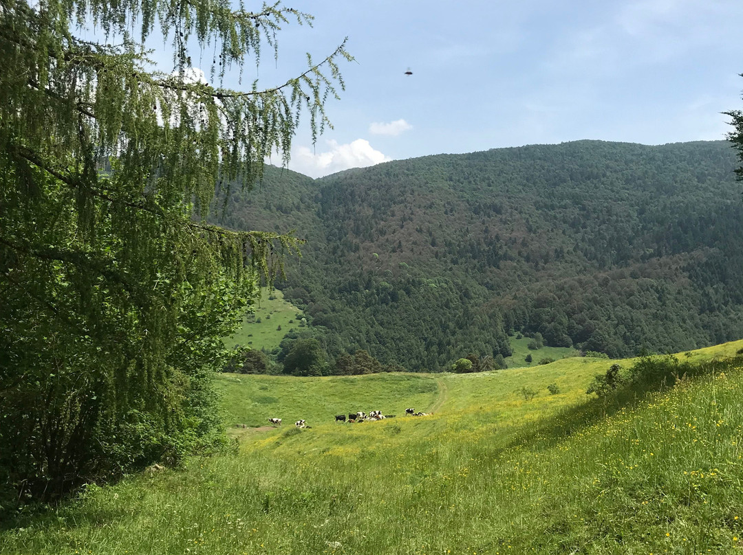 Rifugio Monte Baldo主图