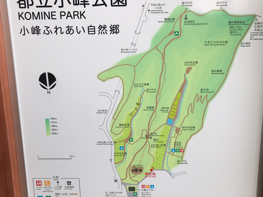 Toritsu Komine Park-秋留野市必去景点
