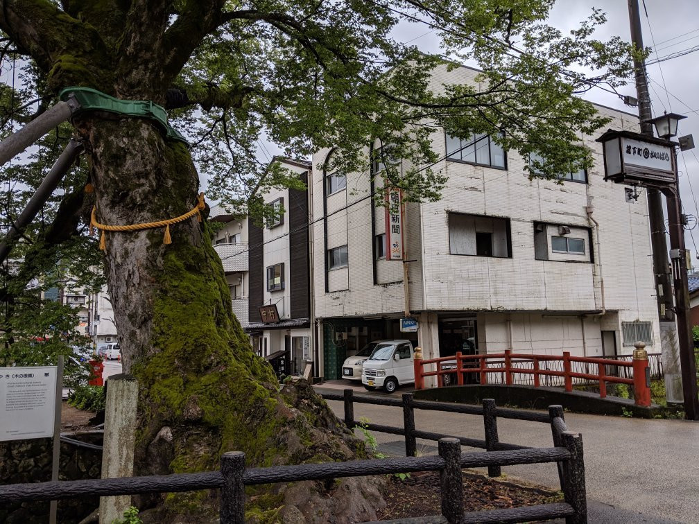 Kino Nebashi-丹波市必去景点