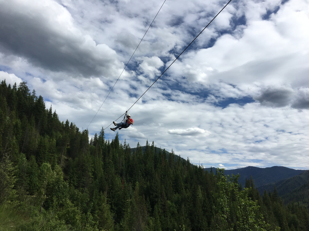 Silver Streak Zipline Tours景点图片