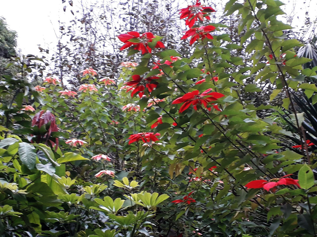 Hosteria El Jardin Colonial主图