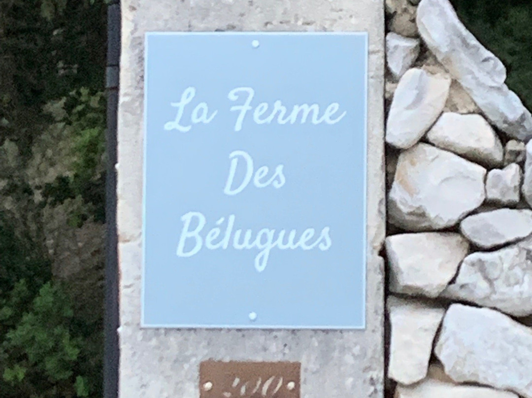 La Ferme des Belugues主图