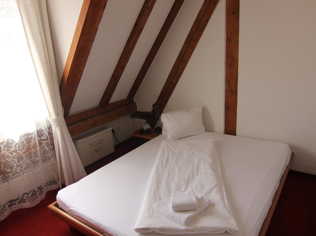 Zunfthaus zur Rebleuten主图