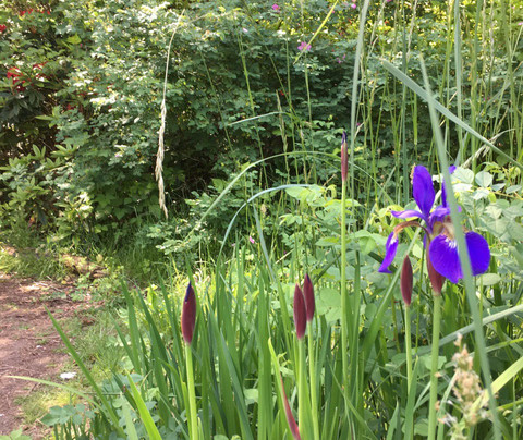 Guillemot Cove Nature Preserve-Seabeck必去景点