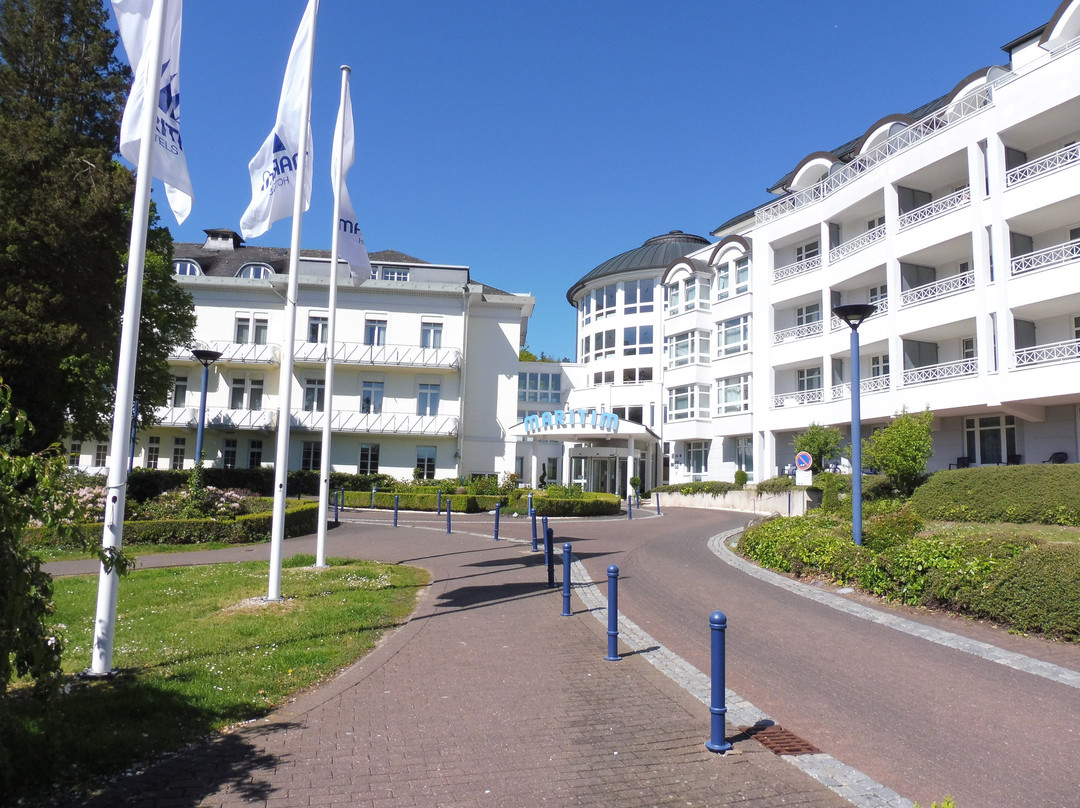 巴特维尔东根玛丽蒂姆巴德酒店主图