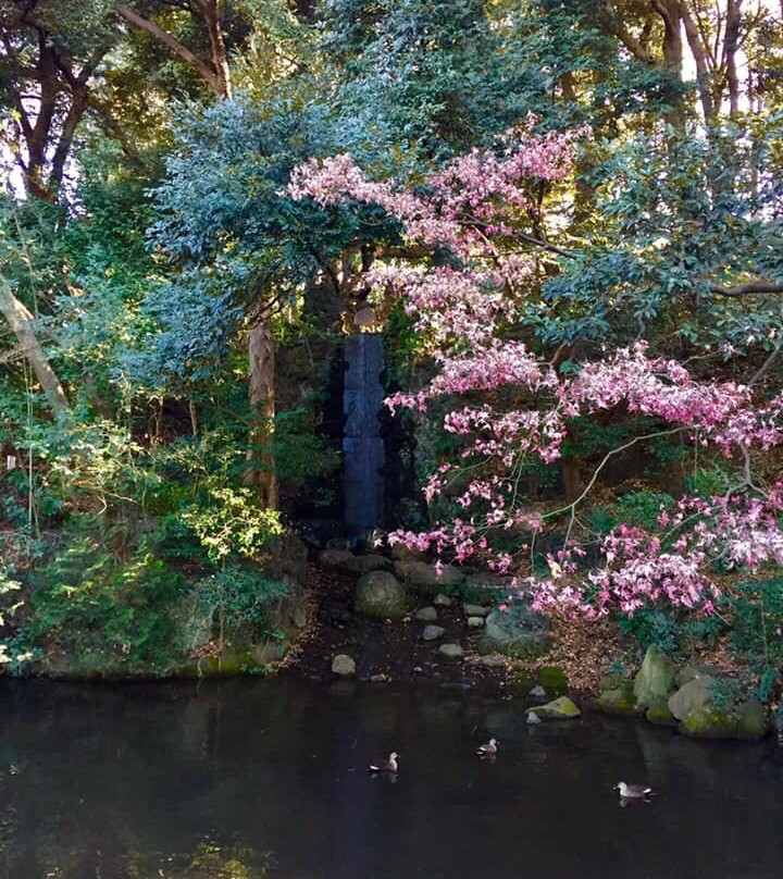 Denenchofu Seseragi Park-大田区必去景点