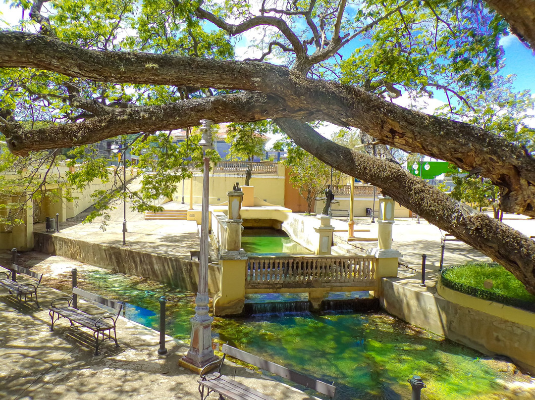 El Paterre-Aguadilla必去景点