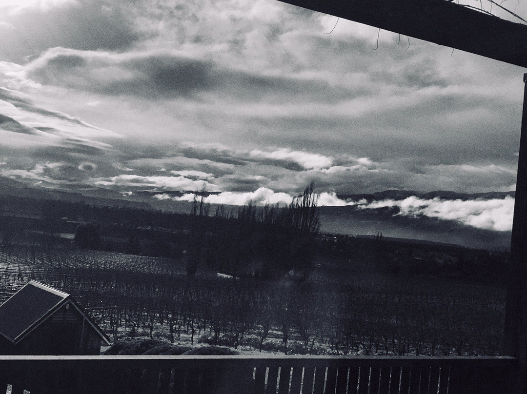 Felton Road Wines-克伦威尔镇必去景点