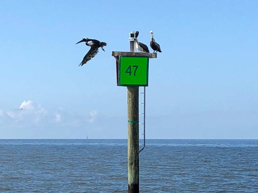 Stillwater Fishing Charters-长滩必去景点