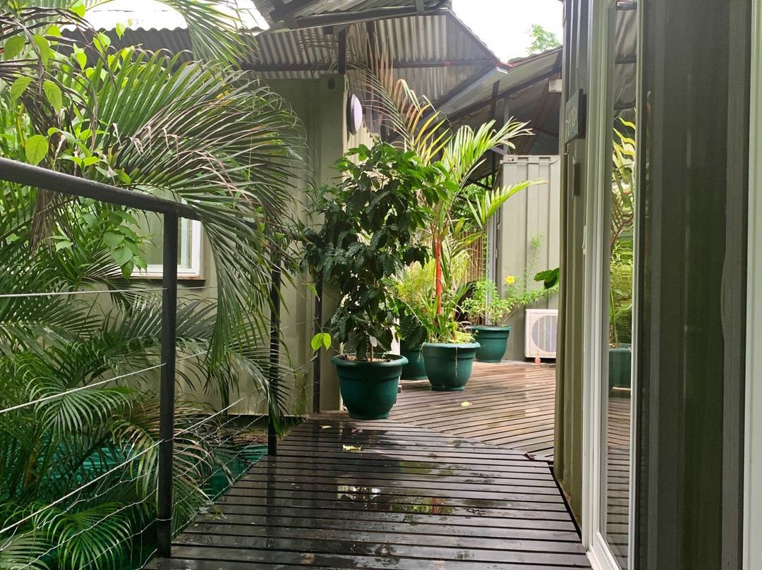 Danyasa Eco-Retreat - Bamboo Yoga Play Studio景点图片