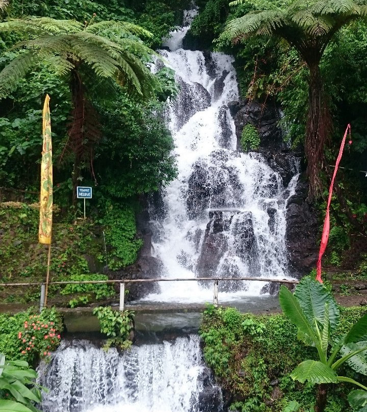 Jembong Waterfall景点图片