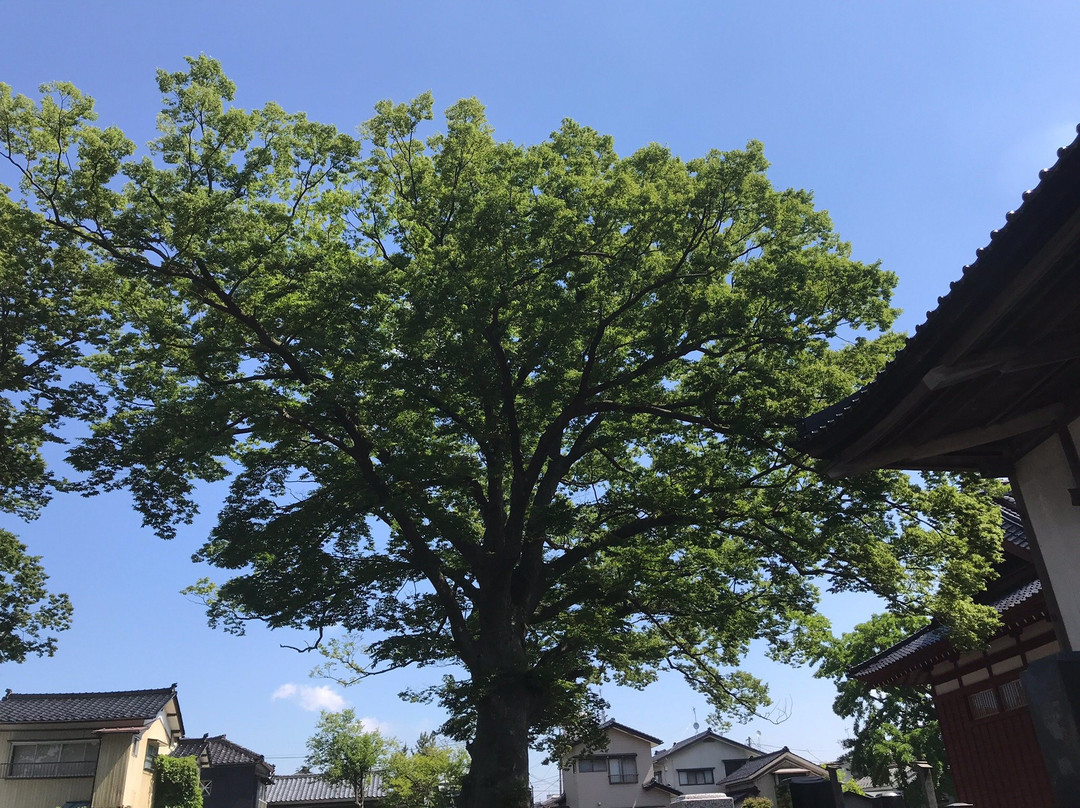 Tenshoji Temple-酒田市必去景点