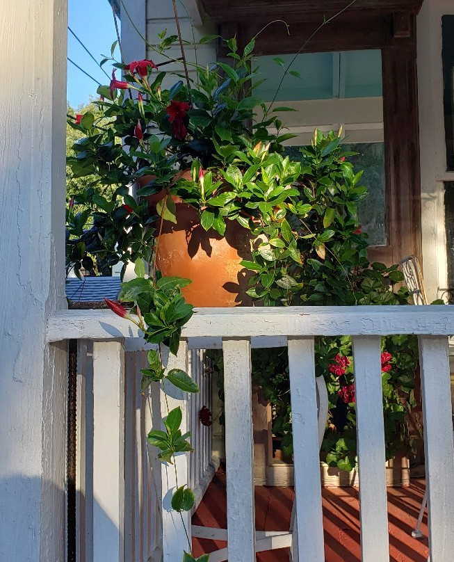 Ashley's Victorian Haven Bed And Breakfast主图