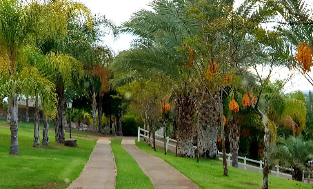 Ikaia River Lodge主图