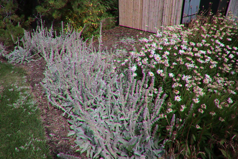 Olds College Botanic Gardens & Constructed Wetlands景点图片