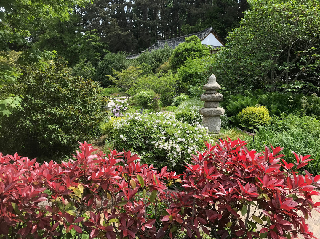 Chollipo Arboretum-泰安郡必去景点