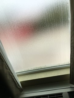 Quality Inn & Suites主图