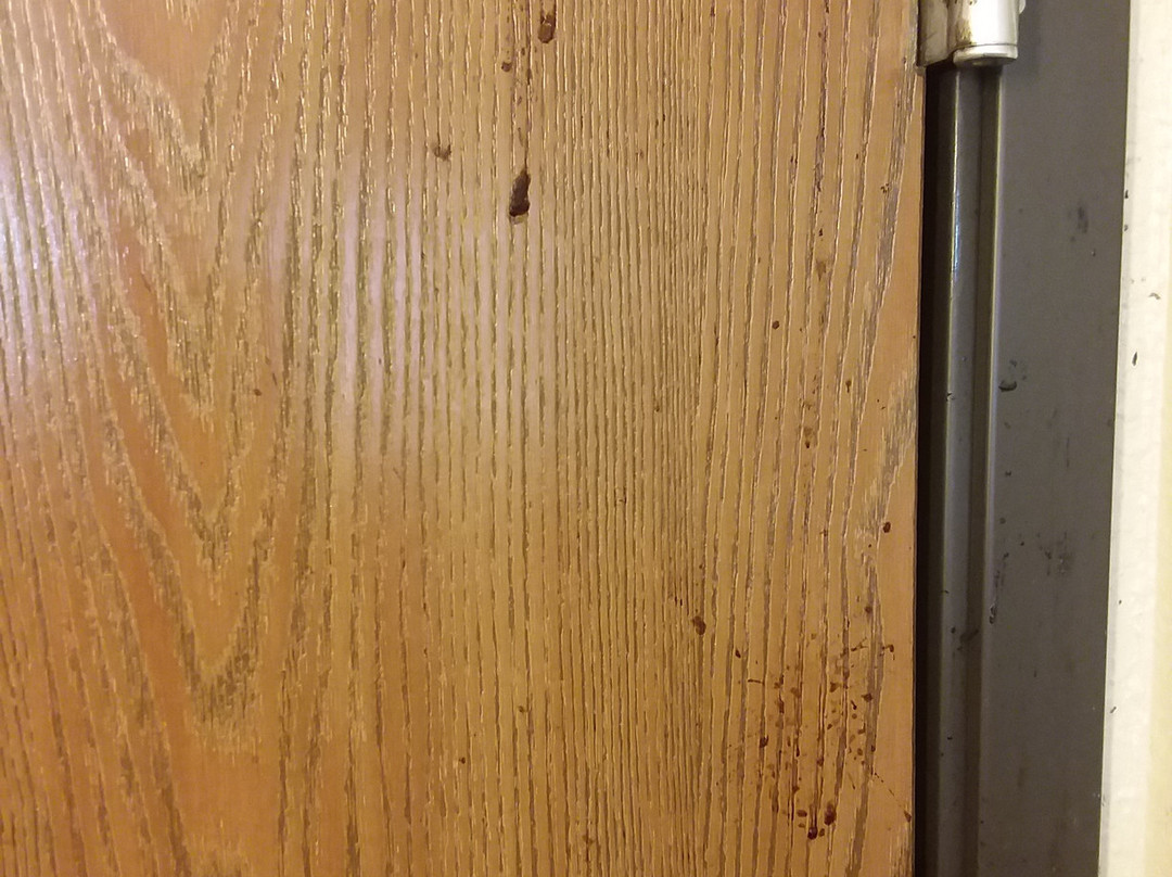 Super 8 by Wyndham Melrose主图