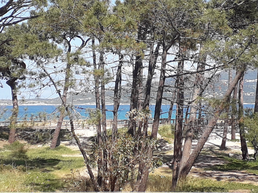 Le Calvi Hôtel主图