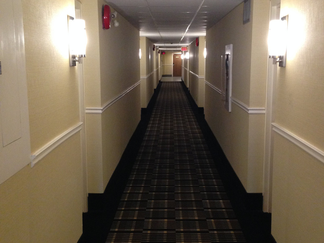 Comfort Inn Winnipeg South主图