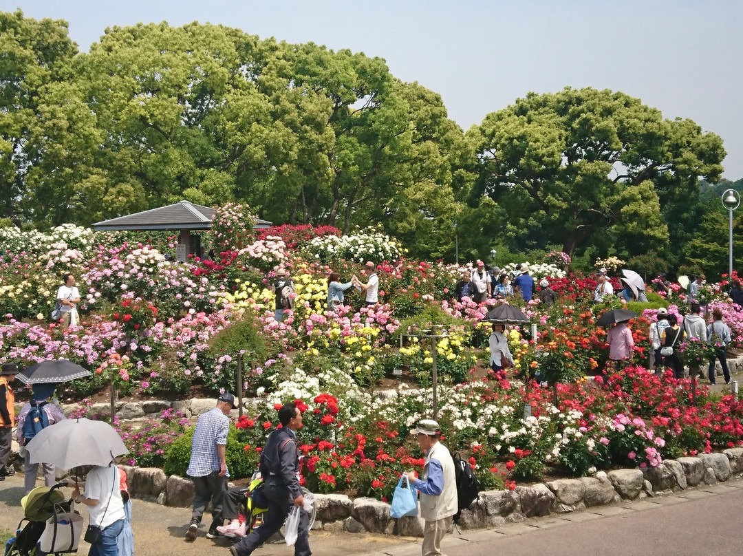 Kayoicho Park景点图片