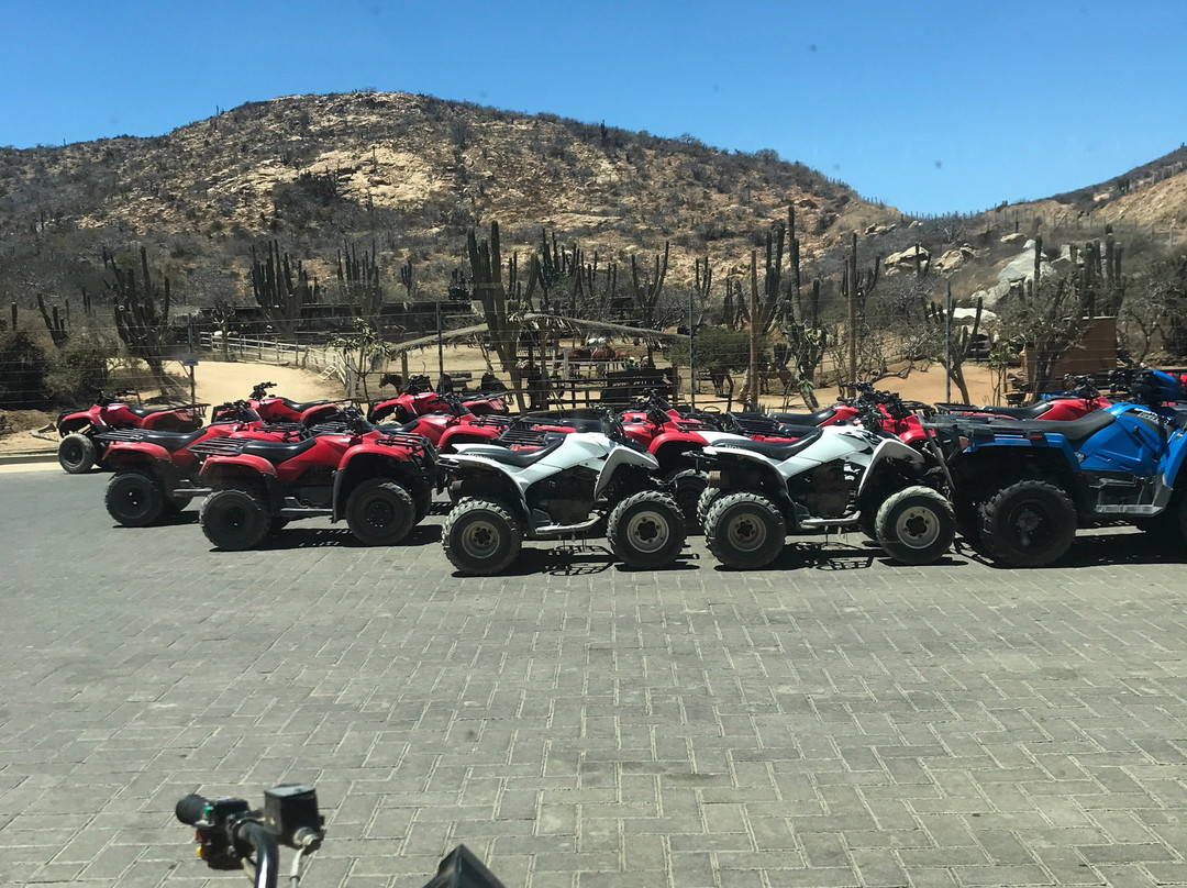 Cactus Tours-卡波圣卢卡斯必去景点