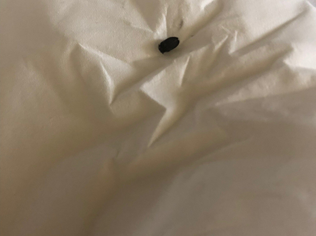 Hotel Podzamcze主图