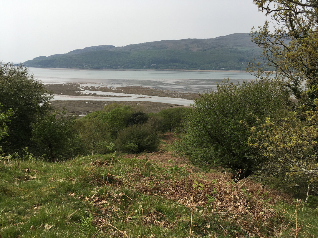 The Slate Shed B &B at Graig Wen主图