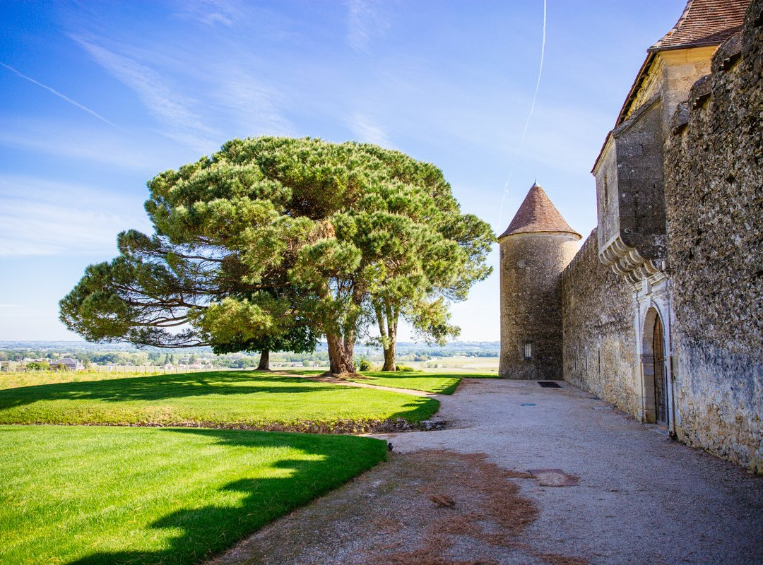 Office de Tourisme de Sauternes景点图片