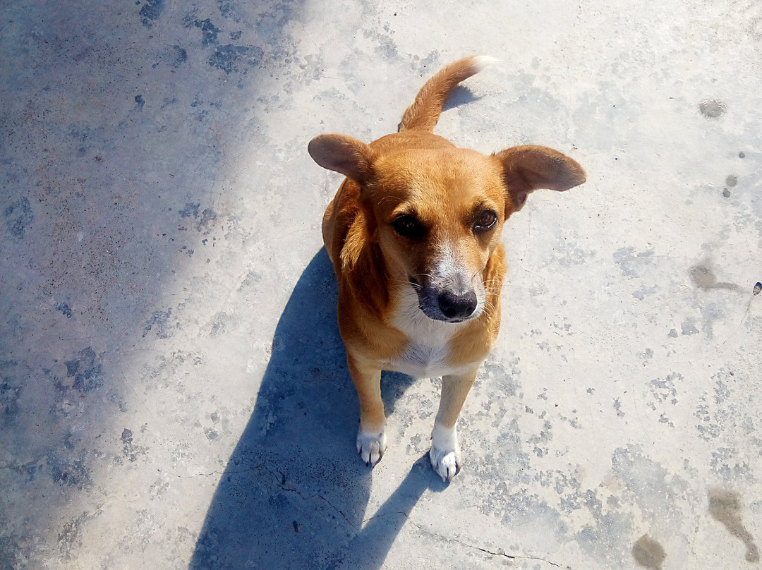 Hostal Finca San Rafael主图