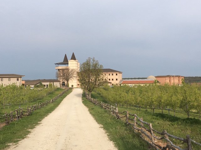Bakucha Vineyard Hotel-浴室