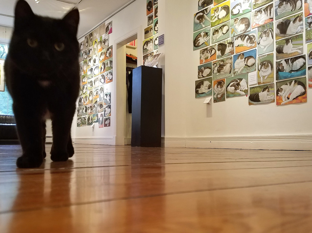 Wired Gallery-High Falls必去景点