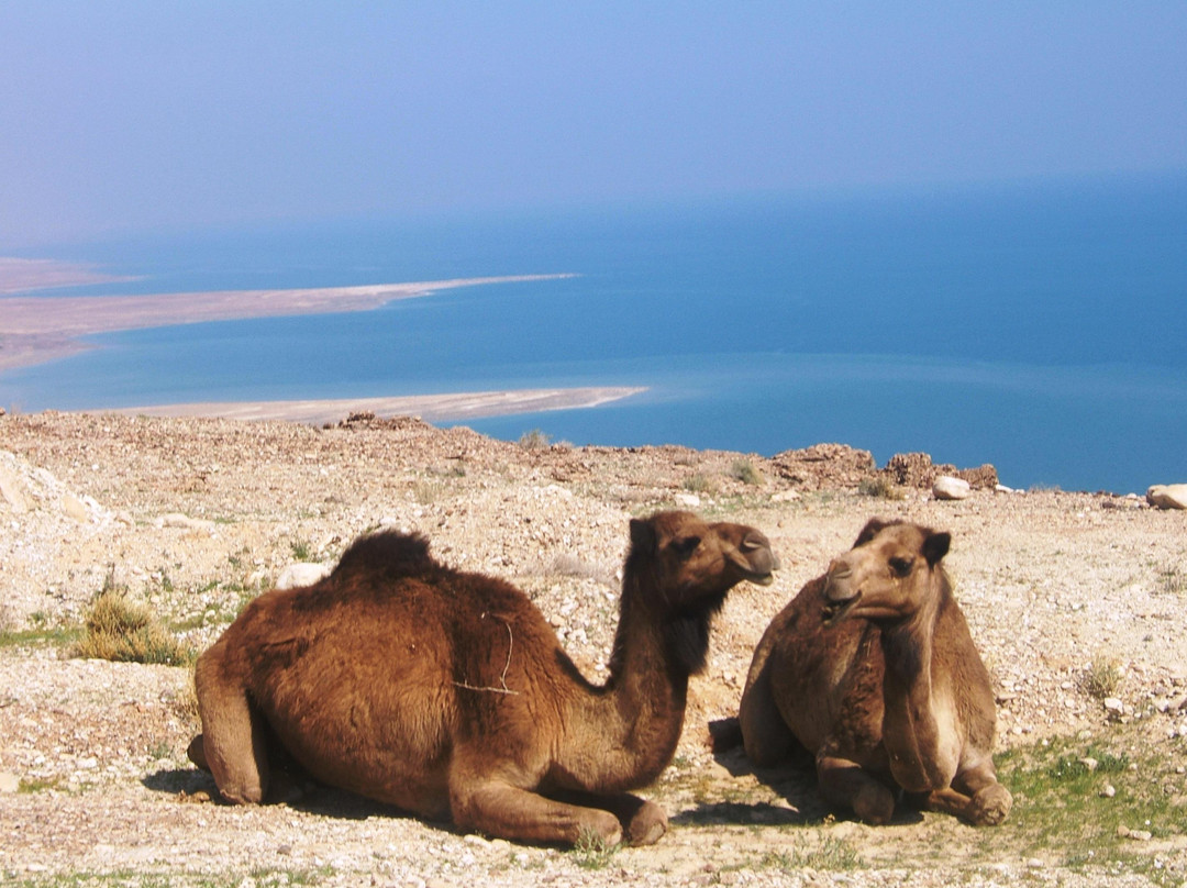 Insight HolyLand-Kiryat Tivon必去景点