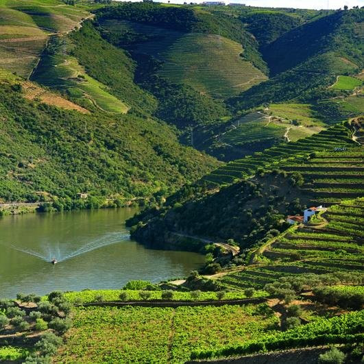 DouroValleyTours景点图片