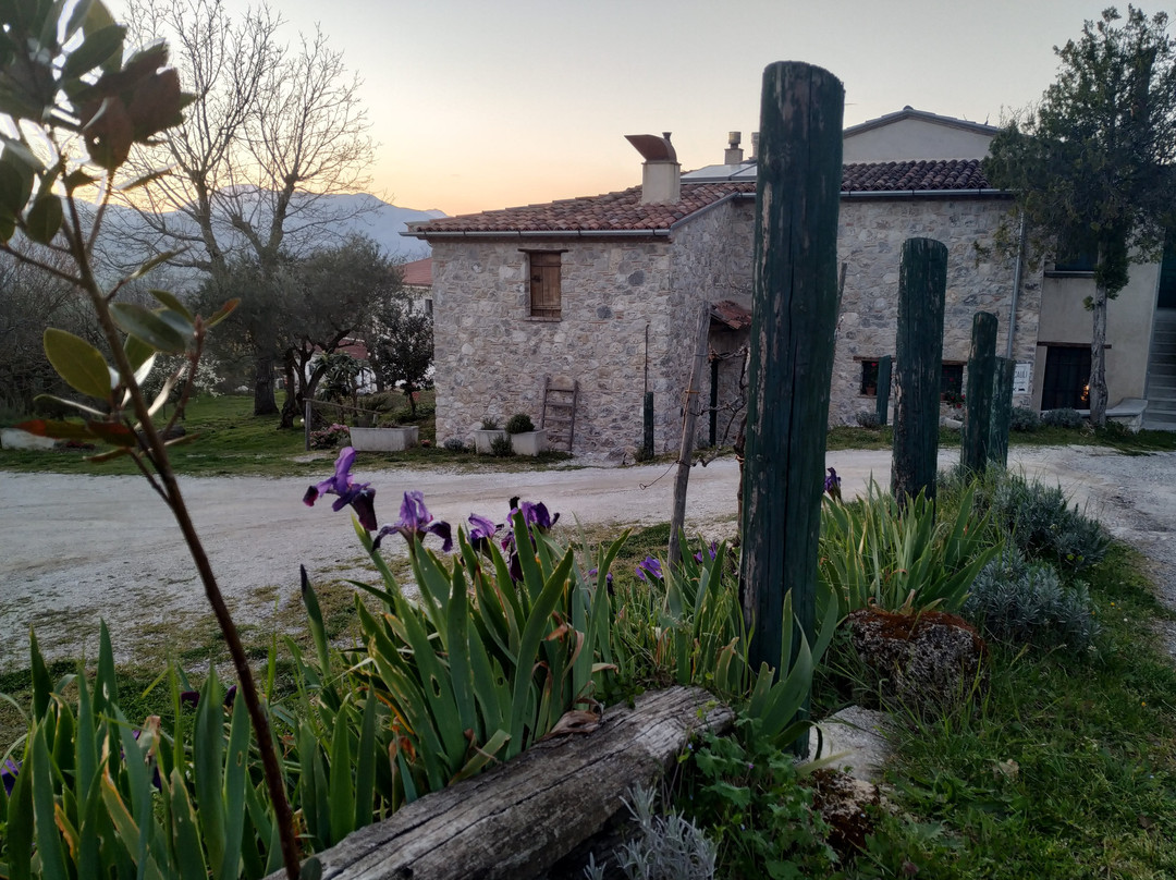 Agriturismo Casa Cauli主图