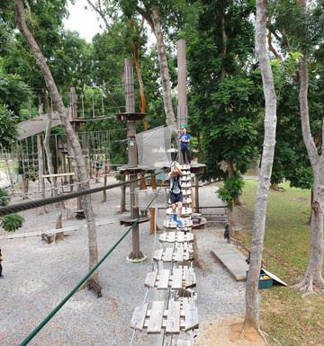 Forest Adventure-新加坡必去景点