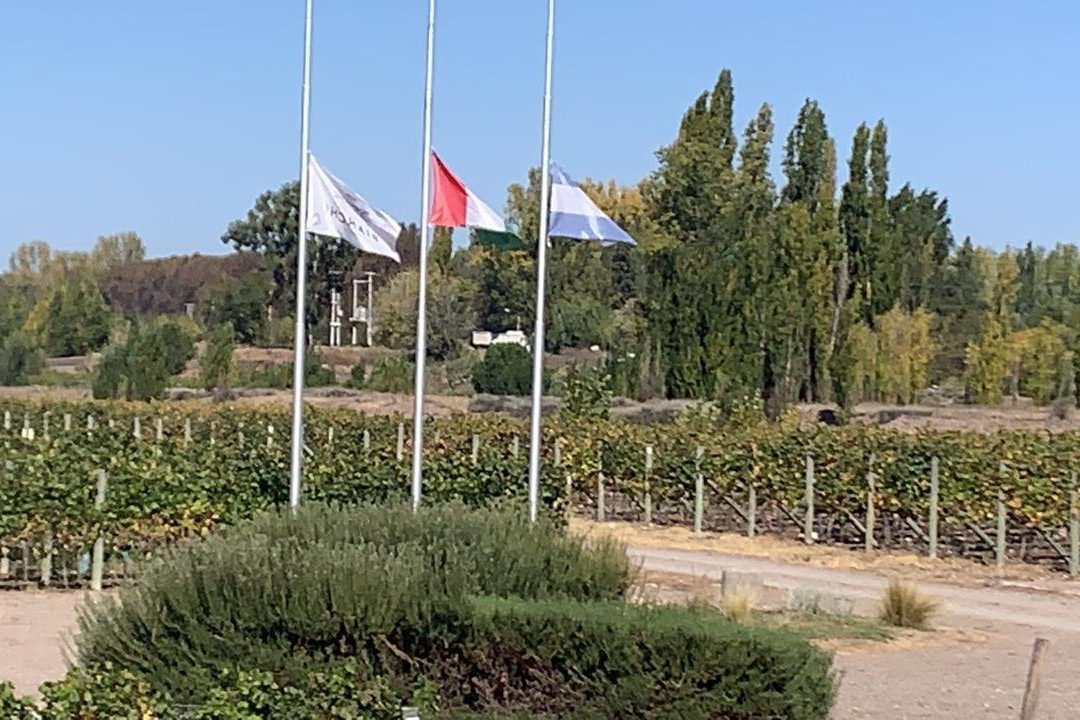 Bodega Enzo Bianchi景点图片