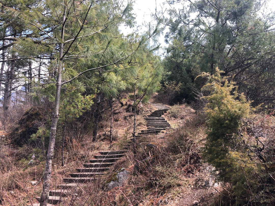 跑马山景点图片