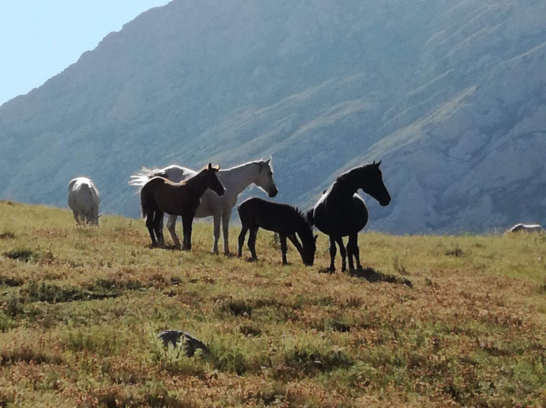 Nomads Path-雅典必去景点