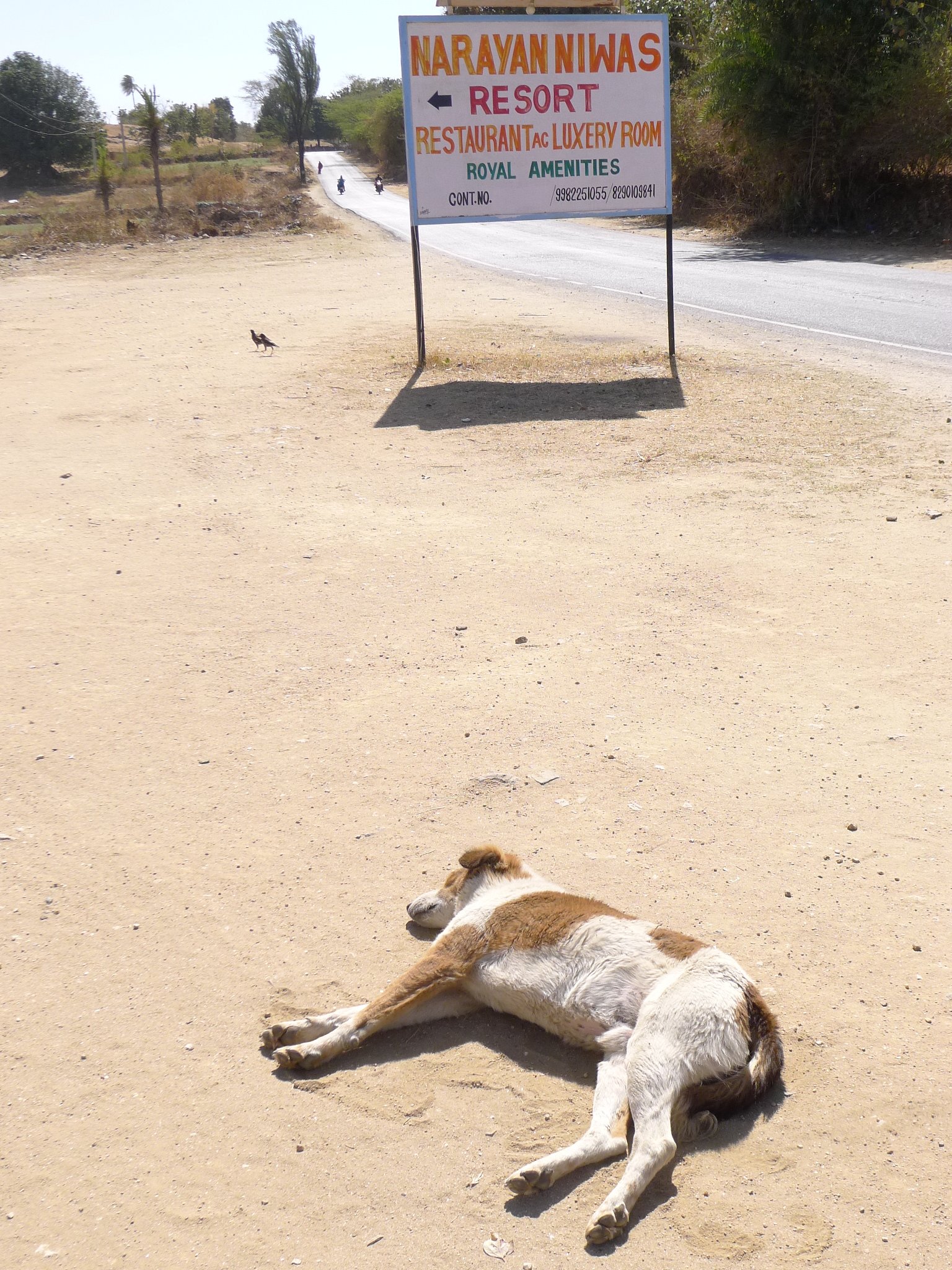 Narayan Niwas Resort-浴室