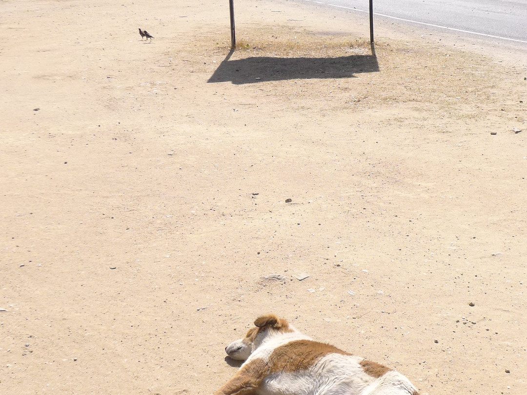 Narayan Niwas Resort主图