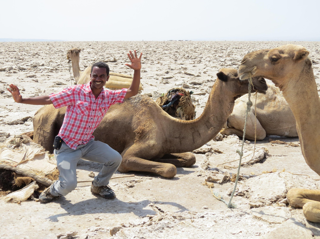 TANKWA TOURS & TRAVEL AGENCY-巴哈尔达尔必去景点