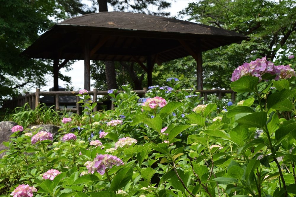 Tamagawadai Park-大田区必去景点