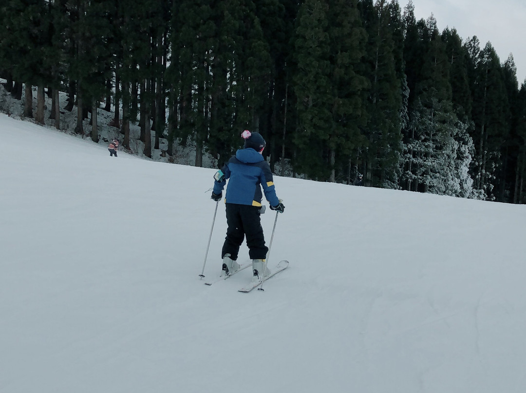 Washigatake Ski Area-郡上市必去景点