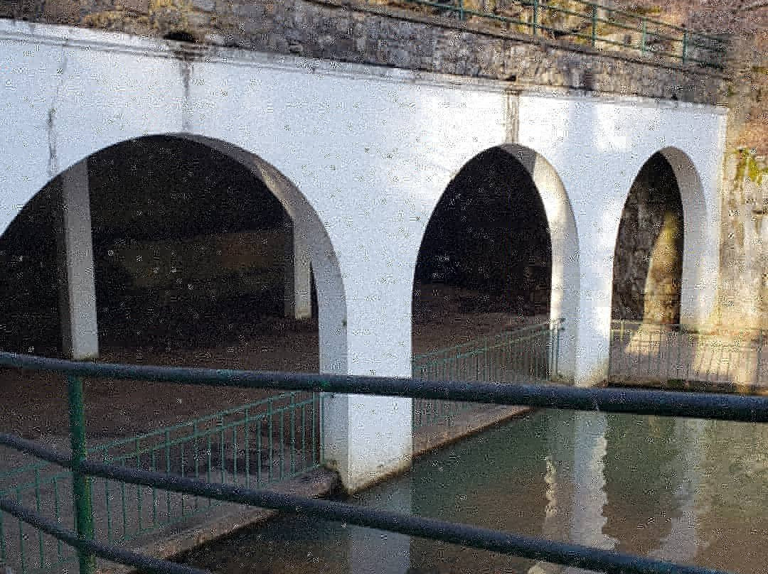 Dunbar Cave-克拉克斯维尔必去景点