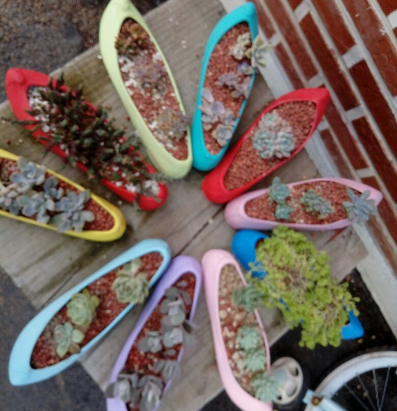 Gangju Sunflower Village-咸安郡必去景点