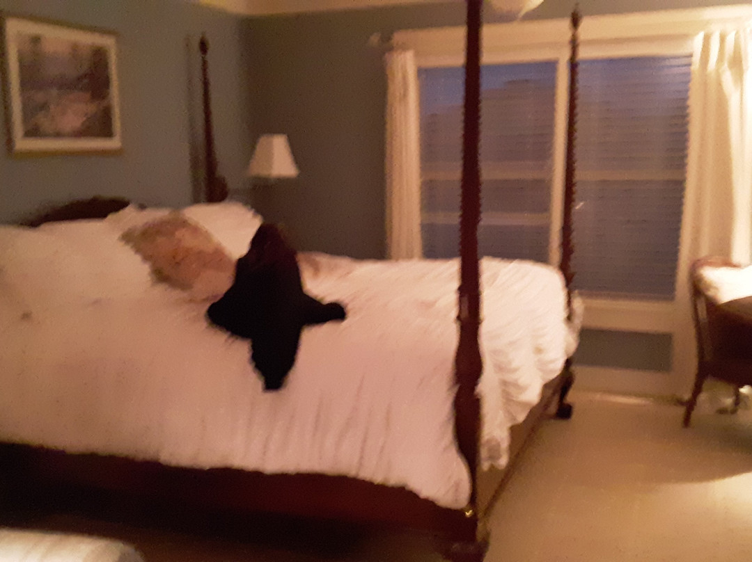 Big Tin Bed and Breakfast主图