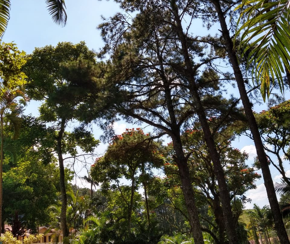 Hotel Estancia Santa Isabel主图